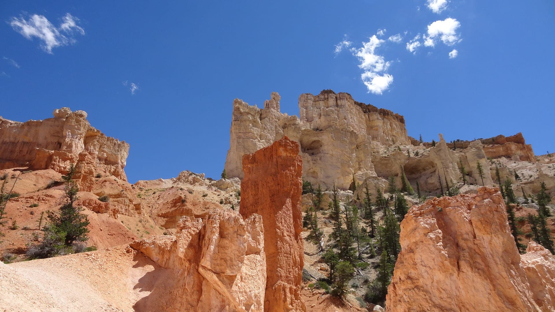 Sunlit red rock hoodoos rising among evergreens under a clear blue desert sky